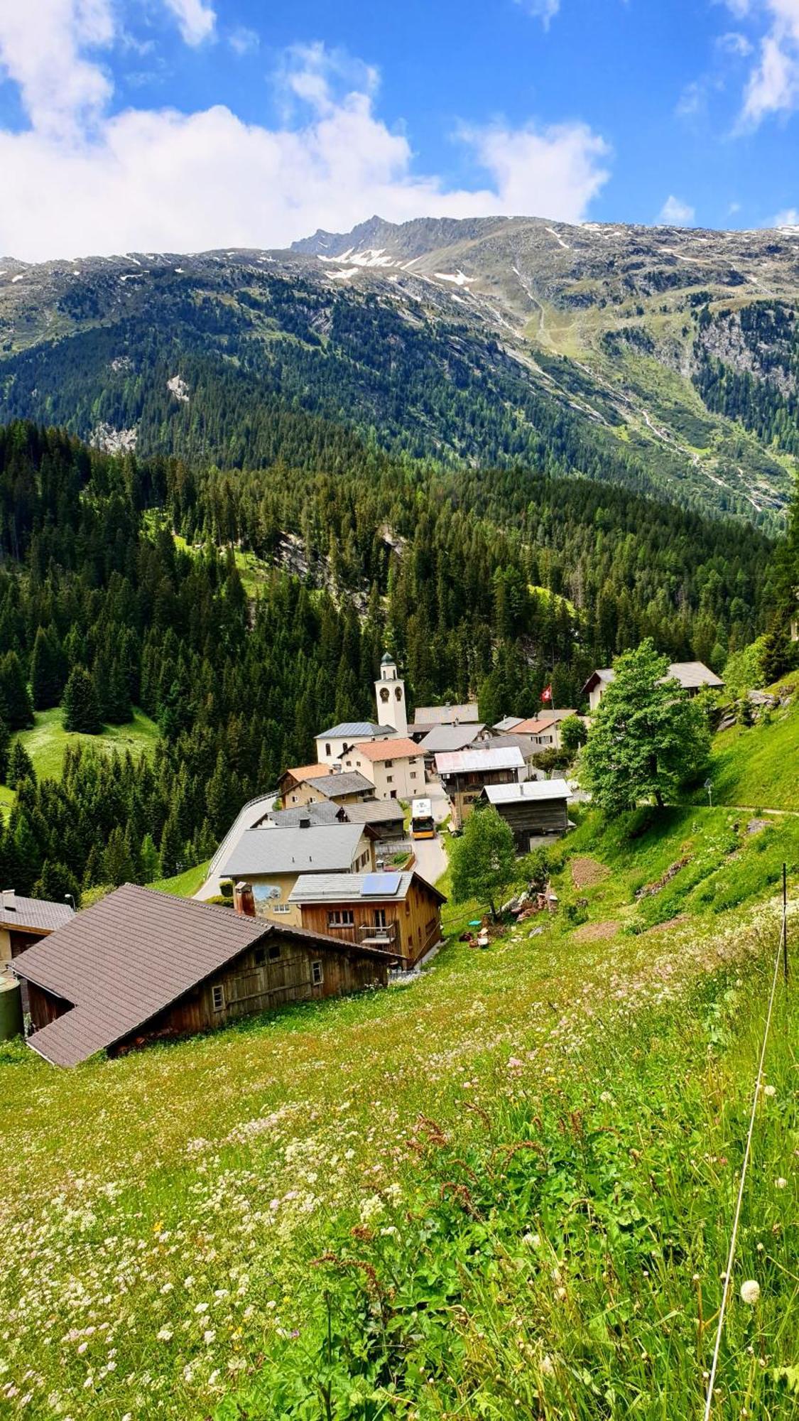 Gasthaus Alpenrose Innerferrera ภายนอก รูปภาพ